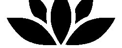 Heaple.nl